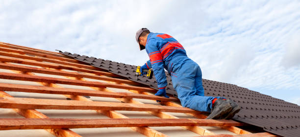 Best Roof Moss and Algae Removal  in Matteson, IL